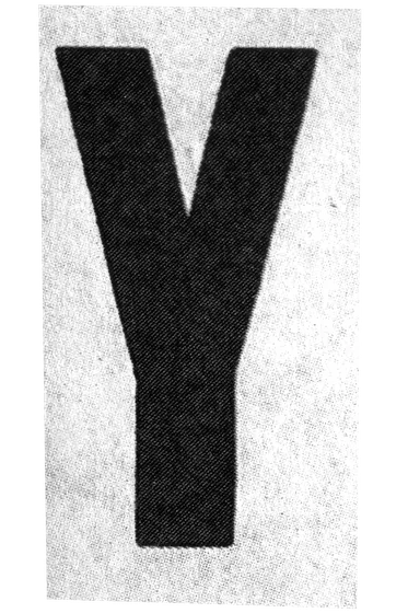 Y